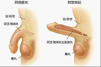 性欲低下经常出现的原因有哪些?